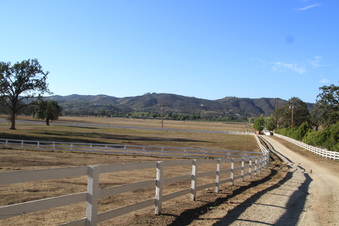 Enlarge photo 119