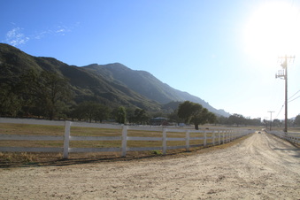 Enlarge photo 120