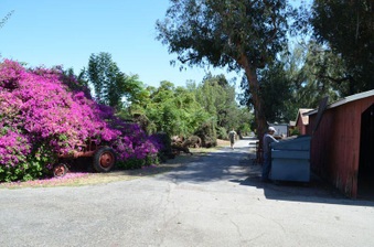 Enlarge photo 5