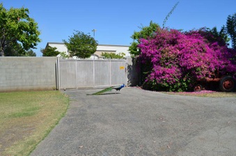 Enlarge photo 11