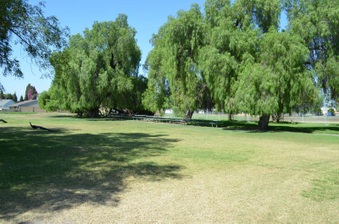 Enlarge photo 15