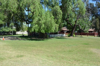 Enlarge photo 16