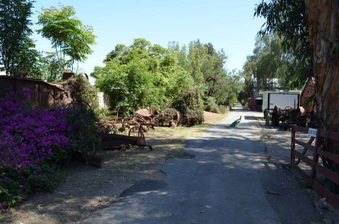 Enlarge photo 27