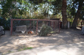 Enlarge photo 33