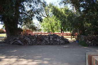 Enlarge photo 35