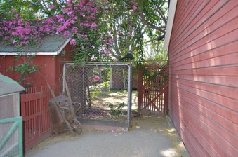 Enlarge photo 46
