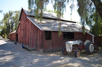 Enlarge photo 47