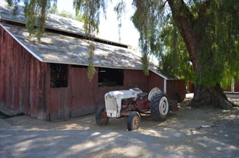 Enlarge photo 48