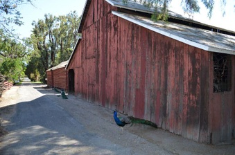 Enlarge photo 49