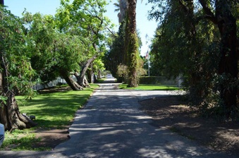 Enlarge photo 53