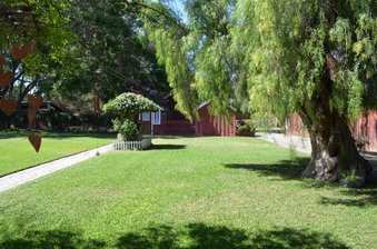 Enlarge photo 58