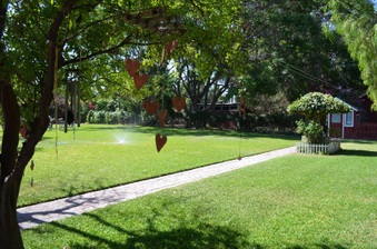 Enlarge photo 59