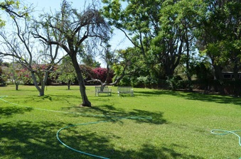 Enlarge photo 63