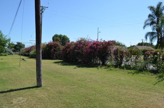 Enlarge photo 69
