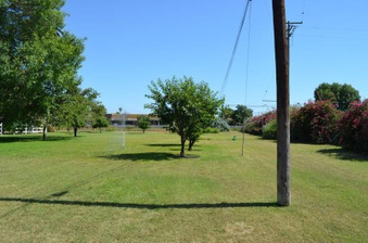 Enlarge photo 70