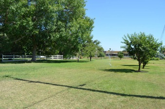 Enlarge photo 71