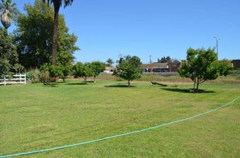 Enlarge photo 74