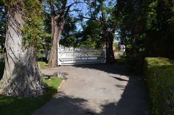 Enlarge photo 79
