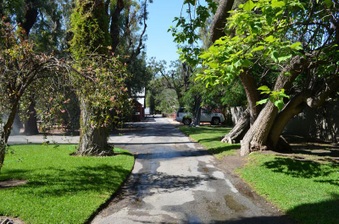 Enlarge photo 80