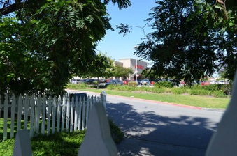 Enlarge photo 81