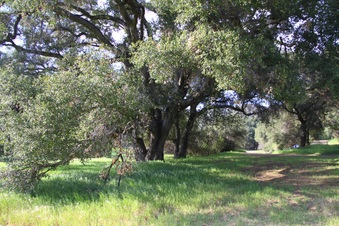 Perral Calabasas Rancho