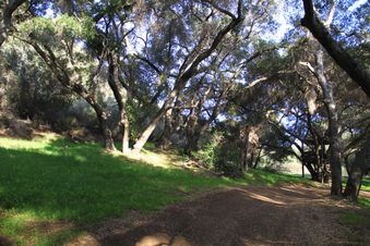 Enlarge photo 19