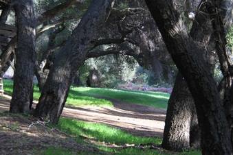 Enlarge photo 20