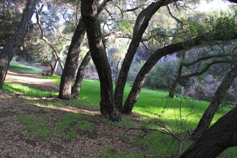 Enlarge photo 21