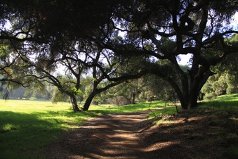 Enlarge photo 25