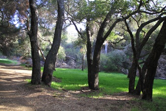 Enlarge photo 26