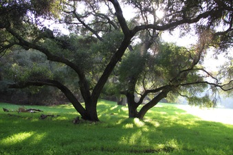 Enlarge photo 27