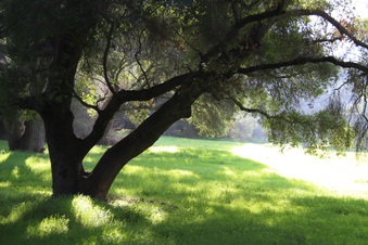 Enlarge photo 28