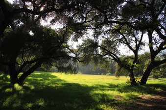 Enlarge photo 29