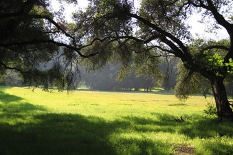Enlarge photo 30