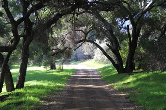 Enlarge photo 31