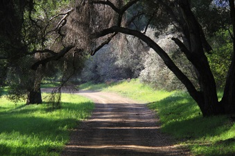 Enlarge photo 32