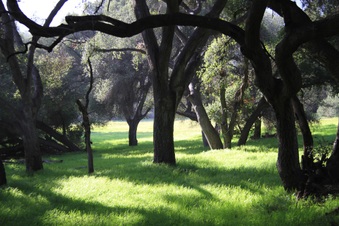 Enlarge photo 34