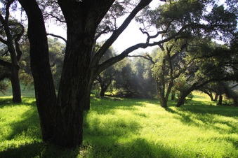 Enlarge photo 35