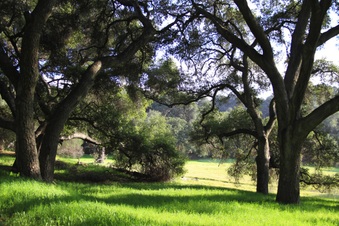 Enlarge photo 38
