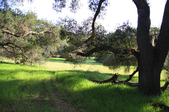 Enlarge photo 39