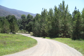 Enlarge photo 49