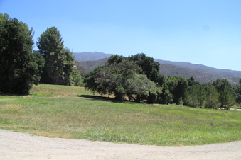 Enlarge photo 48