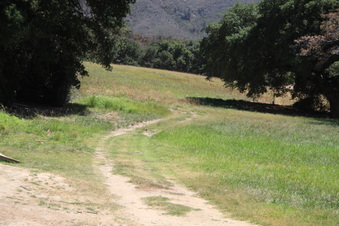 Enlarge photo 40