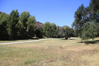 Enlarge photo 14