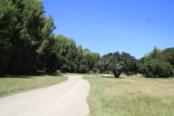 Enlarge photo 11