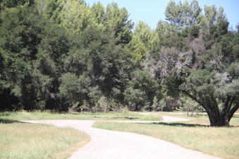 Enlarge photo 2