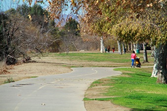 Enlarge photo 35