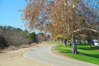Enlarge photo 34