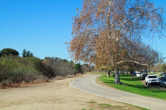 Enlarge photo 33