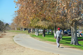 Enlarge photo 32
